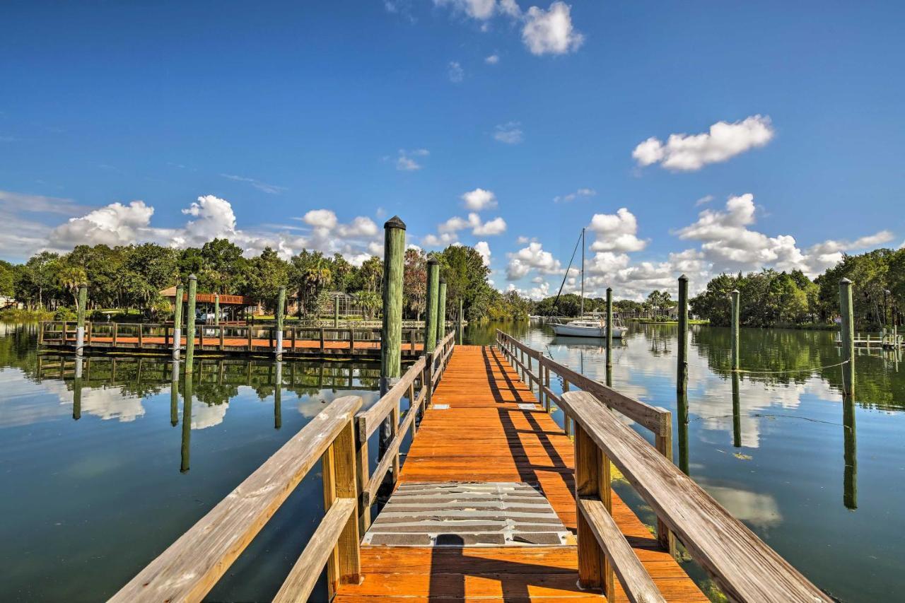 Crystal River House Scalloping And Dock, Gulf 7 Mi! 外观 照片